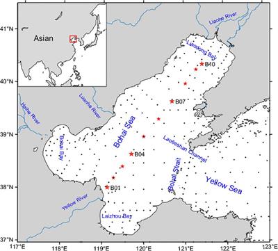 The salinity anomalies due to nutrients and inorganic carbon in the Bohai Sea